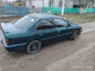 Nissan Primera foto 3