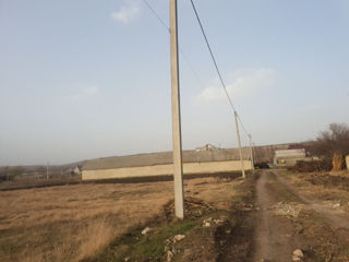 Vind teren pentru constructie în Costești, 11,5 ari foto 2