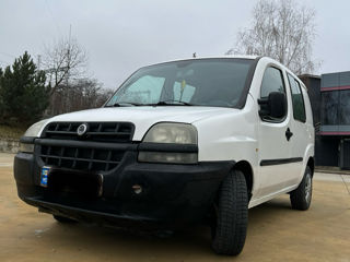 Fiat Doblo Cargo foto 2