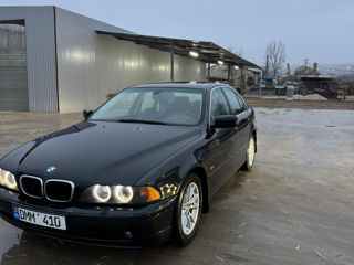 BMW 5 Series foto 10