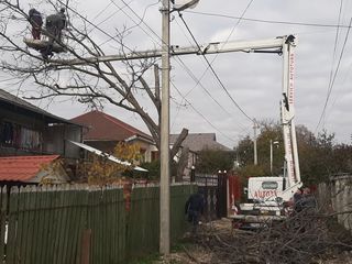 Curățarea copacilor de crengi uscate, sau taierea copacilor. фото 5