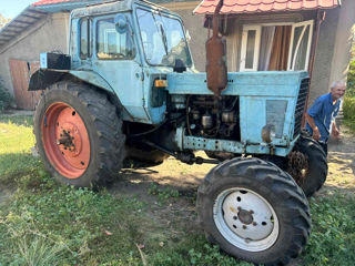 МТЗ-82 фото 1