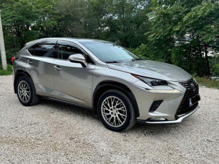 Lexus NX Series foto 5