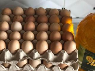 Ouă pentru incubare