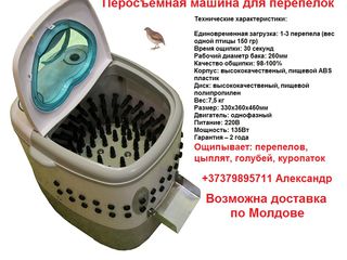 bilnye palcy perosemnye mashiny dostavka po moldove