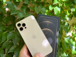 iPhone 12 Pro Max Gold