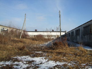 Teren constr.3.2 ha.Ferma  -3 grajdur de1800m2, posibil contractat 500ha-agric. foto 3