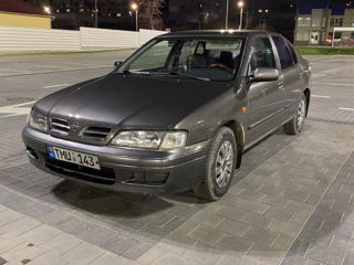 Nissan Primera foto 4