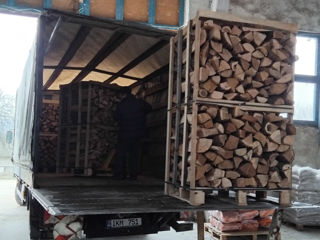 Lemn de foc despicat stejar 100% / дрова колотые бук 100%