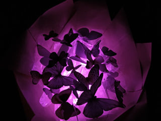 Светящиеся букеты из бабочек/ Buchete din fluturi
