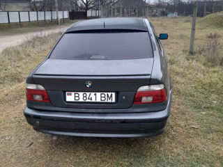 BMW 5 Series foto 5