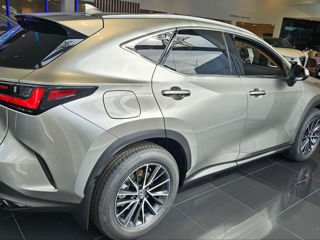 Lexus NX Series foto 5