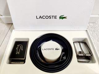 Lacoste foto 6