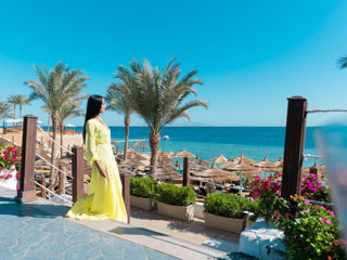Sharm! Sunrise Montemare Resort 5*! Din 15.05!