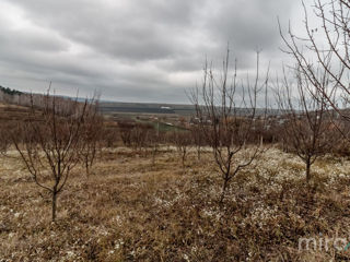 Se vinde Teren pentru construcții în s. Peresecina, zona de vile "La Chiperi", lângă padure! foto 4