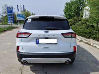 Ford Kuga foto 3