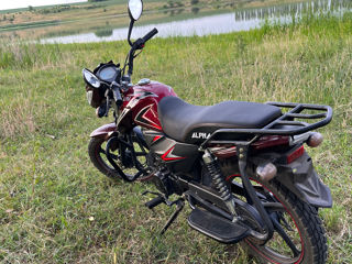 Alpha Moto CM125-2 foto 5