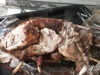 Свежее мясо кролика домашнее/carne de iepuri