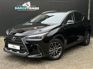 Lexus NX Series