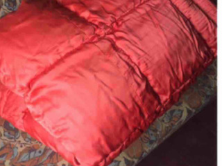Срочно!  Новые: Пуховое полуторное одеяло  - 300л. Покрывало на спальню 250 лей. foto 1