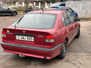 Nissan Primera foto 5