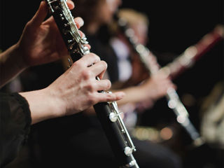 "Descoperă Aromele Muzicale la Tohatin: Lecții Profesionale de Clarinet, Saxofon și Block-Flote! " foto 1