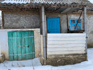 Casa pe malul Nistrului. Raionul Orhei 25km satul Viscauti 10,5 sote de teren . foto 10