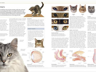 The Cat Encyclopedia: The Definitive Visual Guide (DK Pet Encyclopedias) foto 4