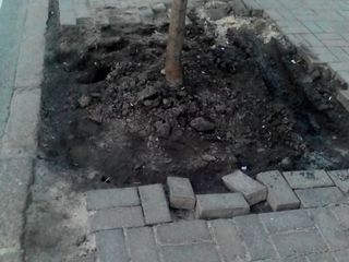 Реставрация дворов и тротуарной плитки - брусчатки. foto 5