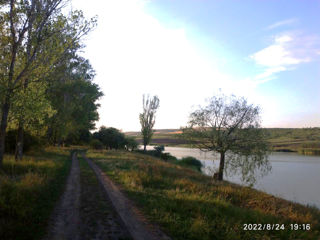 Lac foto 5