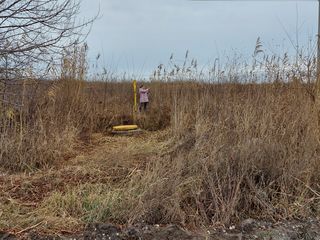 Участок 4.8 cоток Кишинев г. Дурлешть сектор 124 Полтава напротив Думбрава foto 8