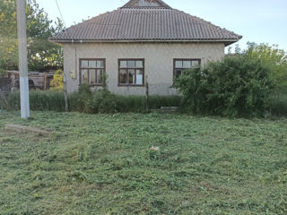 Продам дом в деревне фото 2