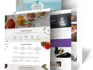 Разработка дизайна сайтов в Молдове, лучшее качество web дизайна от Studio Webmaster!!! foto 1