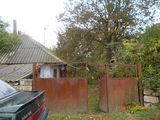 2 case vechi, pomi, vie, gradina s.Fuzauca r-ul Soldanesti foto 2