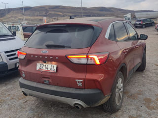 Ford Escape foto 6