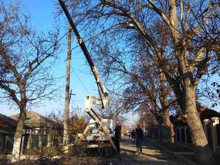 Tăierea copacilor, crengilor, defrisări, la înălțime cu mașini Autoturn! foto 6