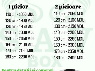 Manechin lupte. foto 9