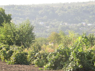 Lot de constructie , panoramic foto 4