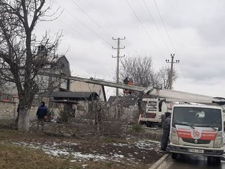 Chirie Autoturn ! Taierea copacilor in toata Moldova ! foto 19