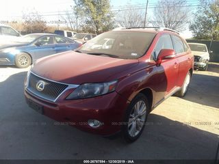 Lexus RX Series foto 1