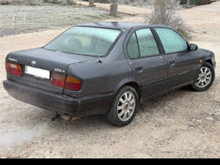 Nissan Primera foto 3