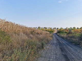 Teren linga traseu/Betonca foto 10