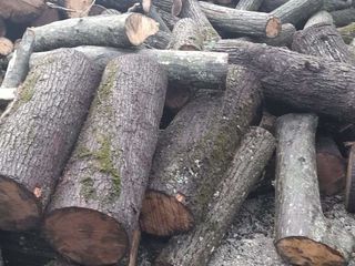 Vindem lemn de foc speci tari stejar carpan frasen (salchin) si lemn moale metre si despicate foto 1