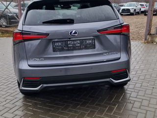 Lexus NX Series foto 4