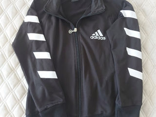 Vesta sport Adidas!