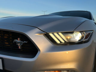 Ford Mustang foto 8