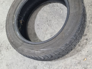 205/55 R16 foto 5