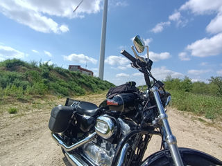 Harley - Davidson Sportster 883 foto 3