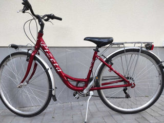 велосипед pizeta