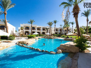 Egipt, Sharm El Sheikh - Amphoras Beach 5*